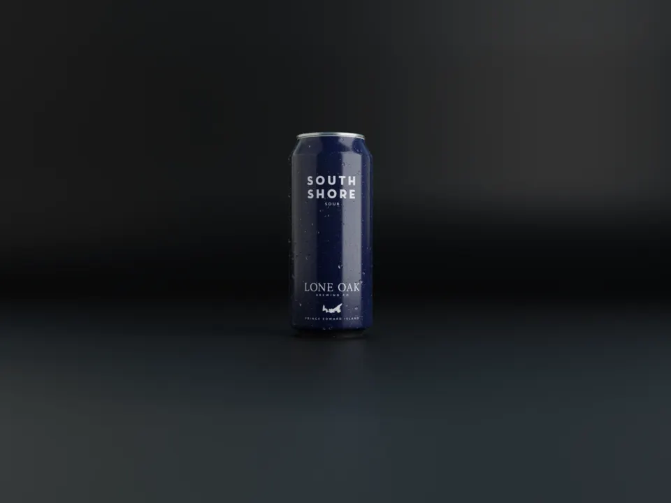 South Shore Sour Beer by Lone Oak Brewing Co